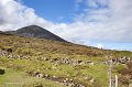 23. Croagh Patrick